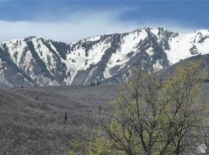 10 E Spring Mountain Drive Springville UT 84663