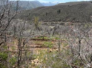 10 E Spring Mountain Drive Springville UT 84663