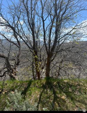 10 E Spring Mountain Drive Springville UT 84663