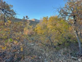 10 E Spring Mountain Drive Springville UT 84663