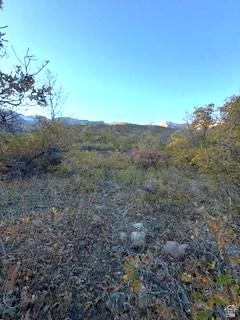10 E Spring Mountain Drive Springville UT 84663