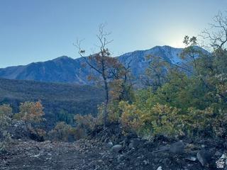 10 E Spring Mountain Drive Springville UT 84663