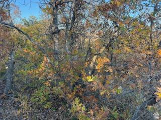 10 E Spring Mountain Drive Springville UT 84663
