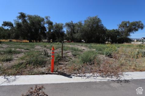 1314 E Victor Lane Draper UT 84020