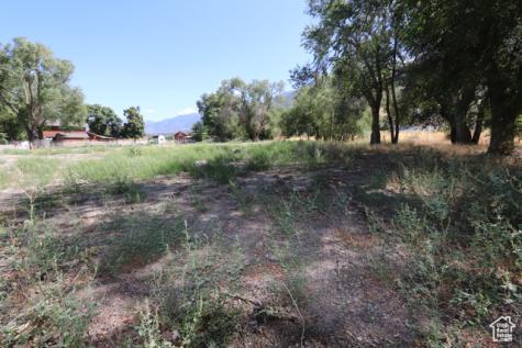 1314 E Victor Lane Draper UT 84020
