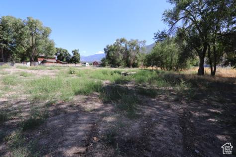 1314 E Victor Lane Draper UT 84020
