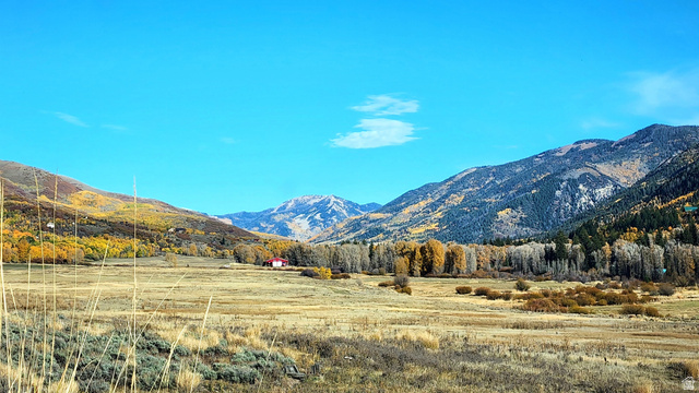 156 Mountain View Oakley UT 84055
