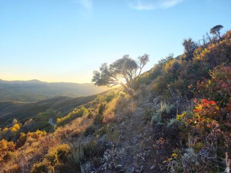 156 Mountain View Oakley UT 84055