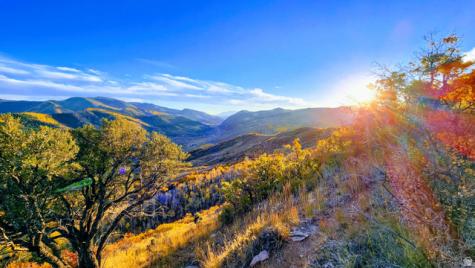 156 Mountain View Oakley UT 84055