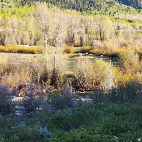 156 Mountain View Oakley UT 84055