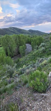 156 Mountain View Oakley UT 84055