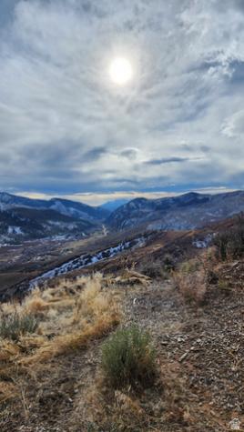 156 Mountain View Oakley UT 84055