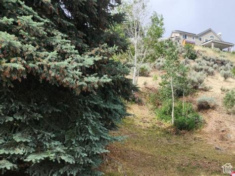 1924 E Viscounti Drive Sandy UT 84093