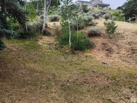 1924 E Viscounti Drive Sandy UT 84093