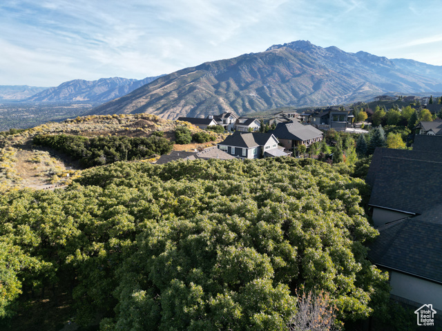 1463 E Meadow Bluff Draper UT 84020