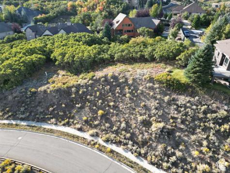 1463 E Meadow Bluff Draper UT 84020