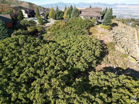 1463 E Meadow Bluff Draper UT 84020