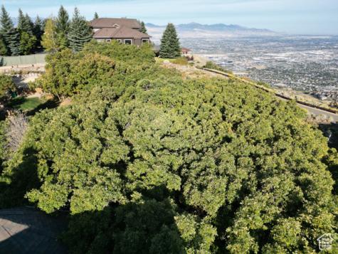 1463 E Meadow Bluff Draper UT 84020