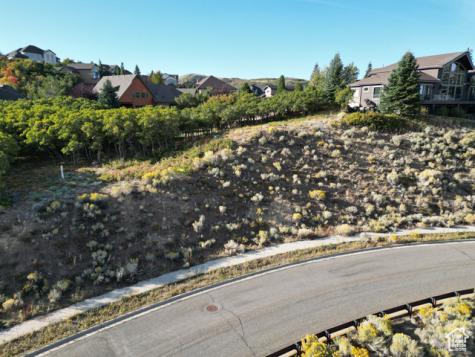 1463 E Meadow Bluff Draper UT 84020