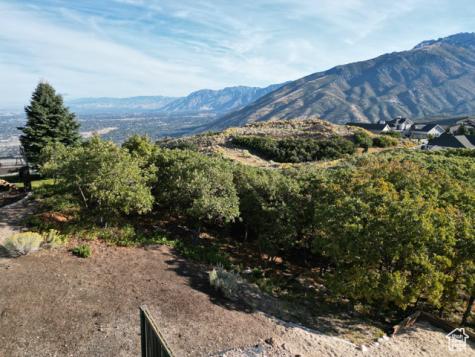 1463 E Meadow Bluff Draper UT 84020