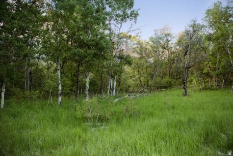 2631 N Mountain Park Alpine UT 84004
