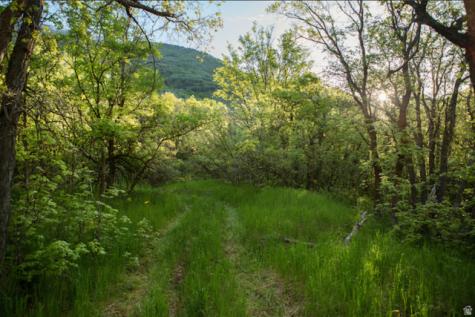 2631 N Mountain Park Alpine UT 84004