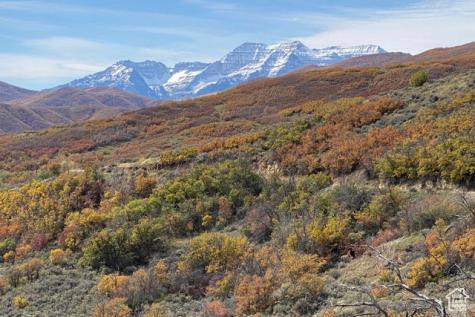 Midway UT 84049