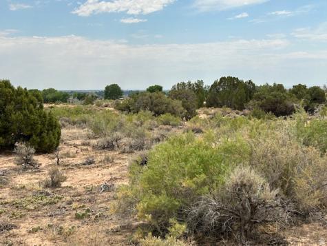 Roosevelt UT 84066
