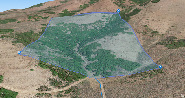 123 Spring Hollow Morgan UT 84050