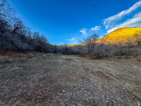 123 Spring Hollow Morgan UT 84050