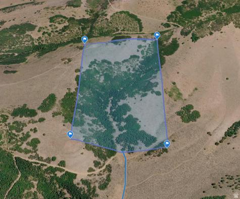 123 Spring Hollow Morgan UT 84050