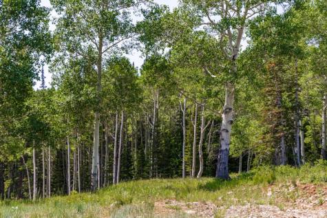 325 White Pine Canyon Road Park City UT 84060