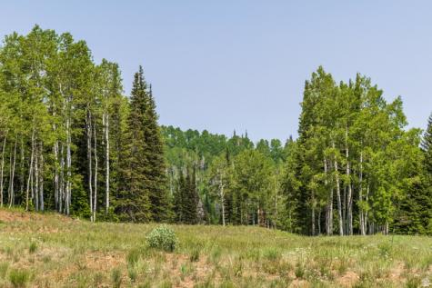 325 White Pine Canyon Road Park City UT 84060