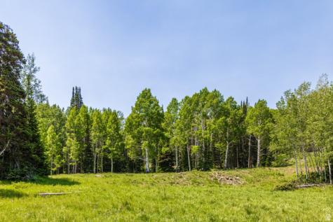 325 White Pine Canyon Road Park City UT 84060