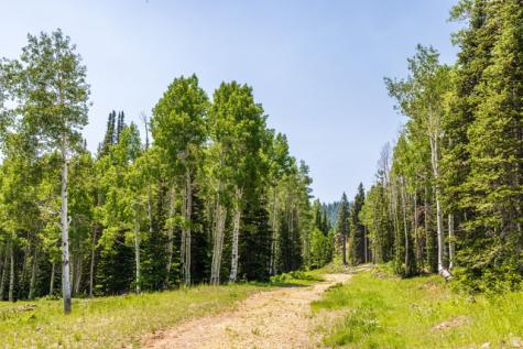 325 White Pine Canyon Road Park City UT 84060