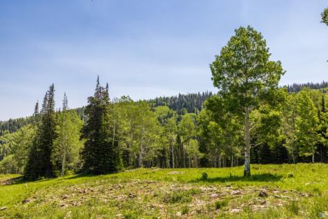 325 White Pine Canyon Road Park City UT 84060