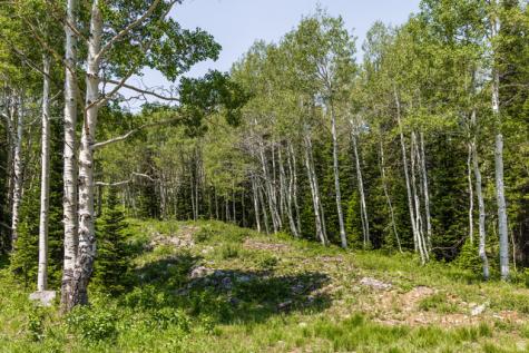 325 White Pine Canyon Road Park City UT 84060