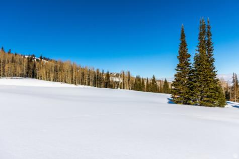 325 White Pine Canyon Road Park City UT 84060