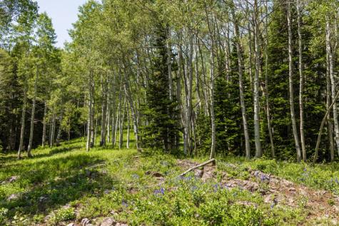 325 White Pine Canyon Road Park City UT 84060