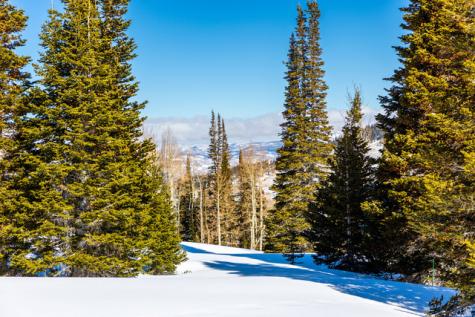 325 White Pine Canyon Road Park City UT 84060