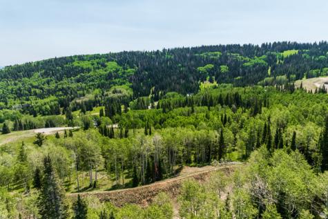 325 White Pine Canyon Road Park City UT 84060