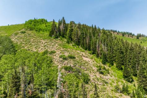 325 White Pine Canyon Road Park City UT 84060