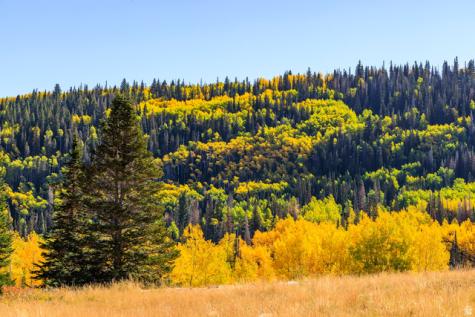 325 White Pine Canyon Road Park City UT 84060