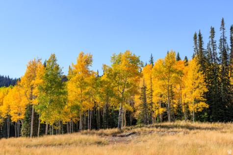 325 White Pine Canyon Road Park City UT 84060