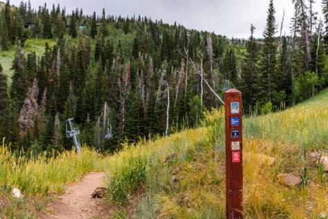 325 White Pine Canyon Road Park City UT 84060