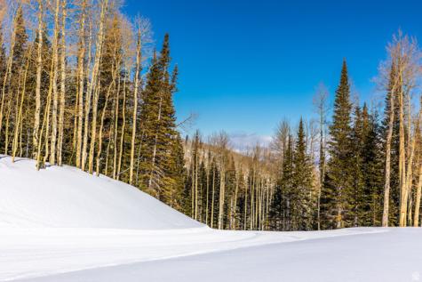 325 White Pine Canyon Road Park City UT 84060