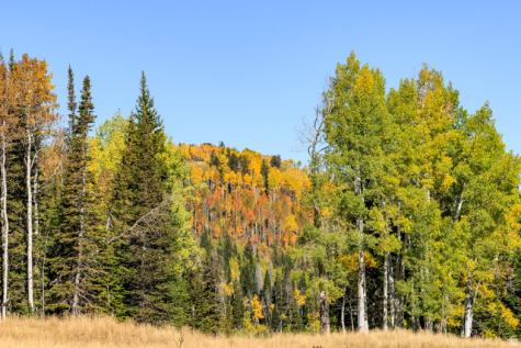 325 White Pine Canyon Road Park City UT 84060