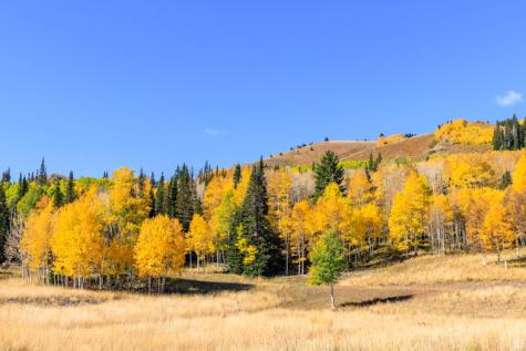 325 White Pine Canyon Road Park City UT 84060