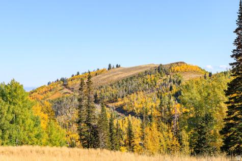 325 White Pine Canyon Road Park City UT 84060