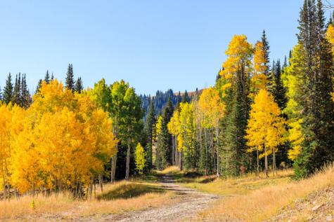 325 White Pine Canyon Road Park City UT 84060